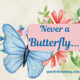 Never a Butterfly…?